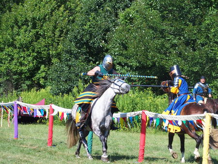The Silver Knights jousting company #21