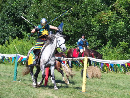 The Silver Knights jousting company #22