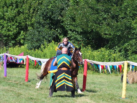 The Silver Knights jousting company #24