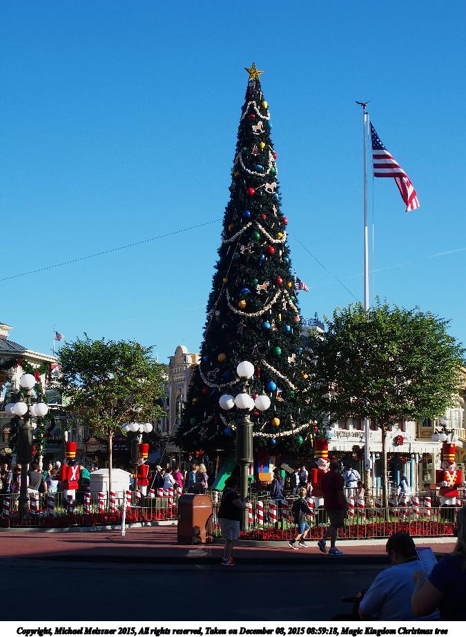 Magic Kingdom Christmas tree
