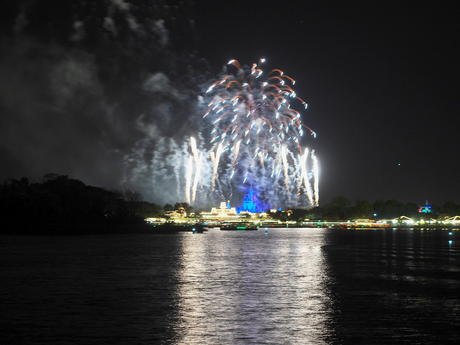 Wishes fireworks (taken from Ferryworks Fireworks Cruise) #10
