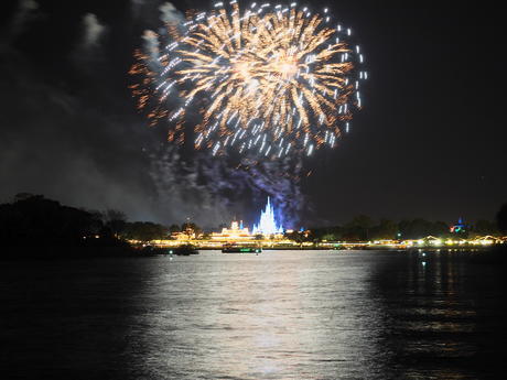 Wishes fireworks (taken from Ferryworks Fireworks Cruise) #19