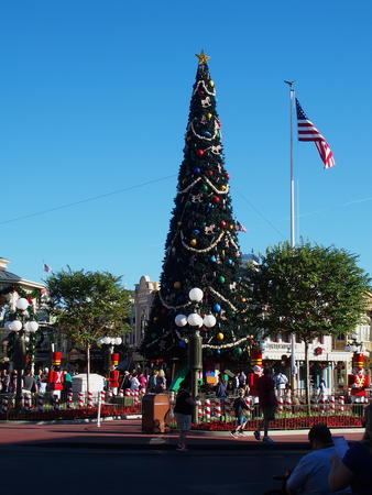 Magic Kingdom Christmas tree