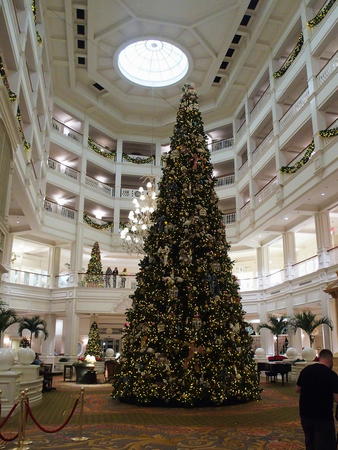 Christmas tree at the Grand Floridian resort #5