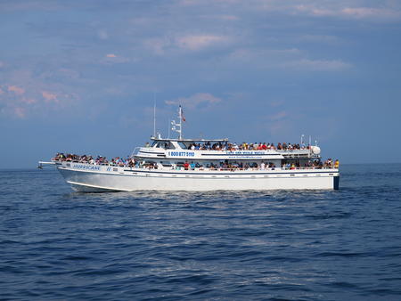 Hurricane II whale watch boat