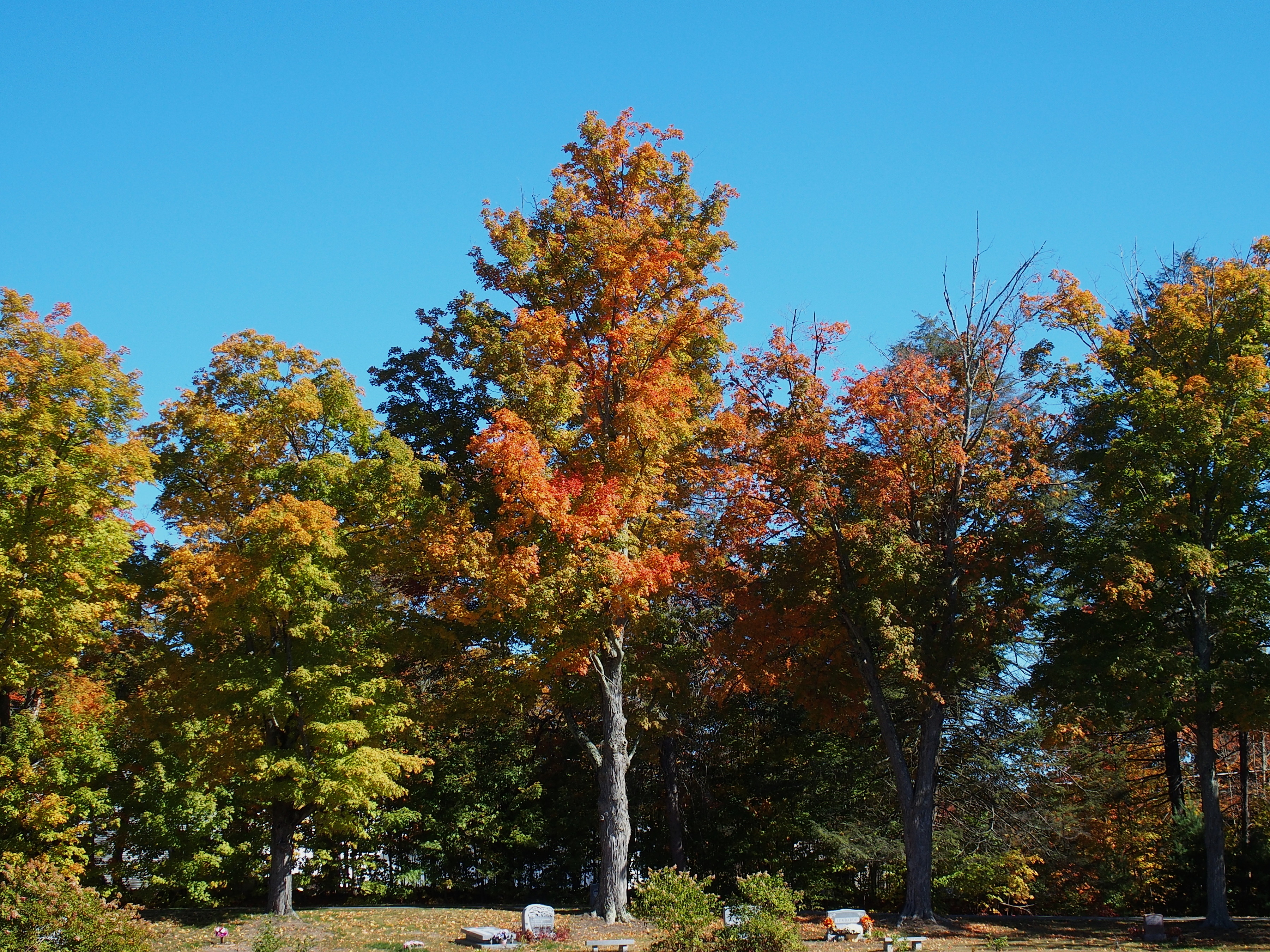West Parish Cemetery, Anover, MA in fall #10