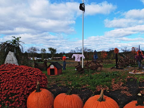 Springdell farm, Littleton, MA in fall #3