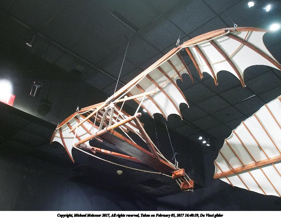 Da Vinci glider