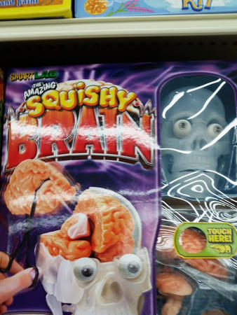 Squishy brain (at A. C. Moore)
