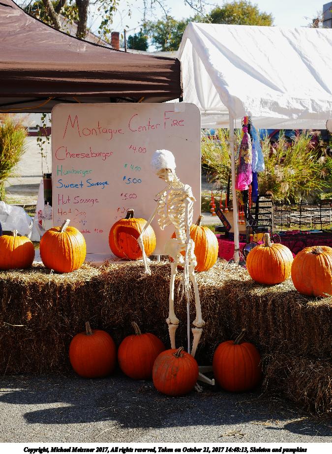 Skeleton and pumpkins