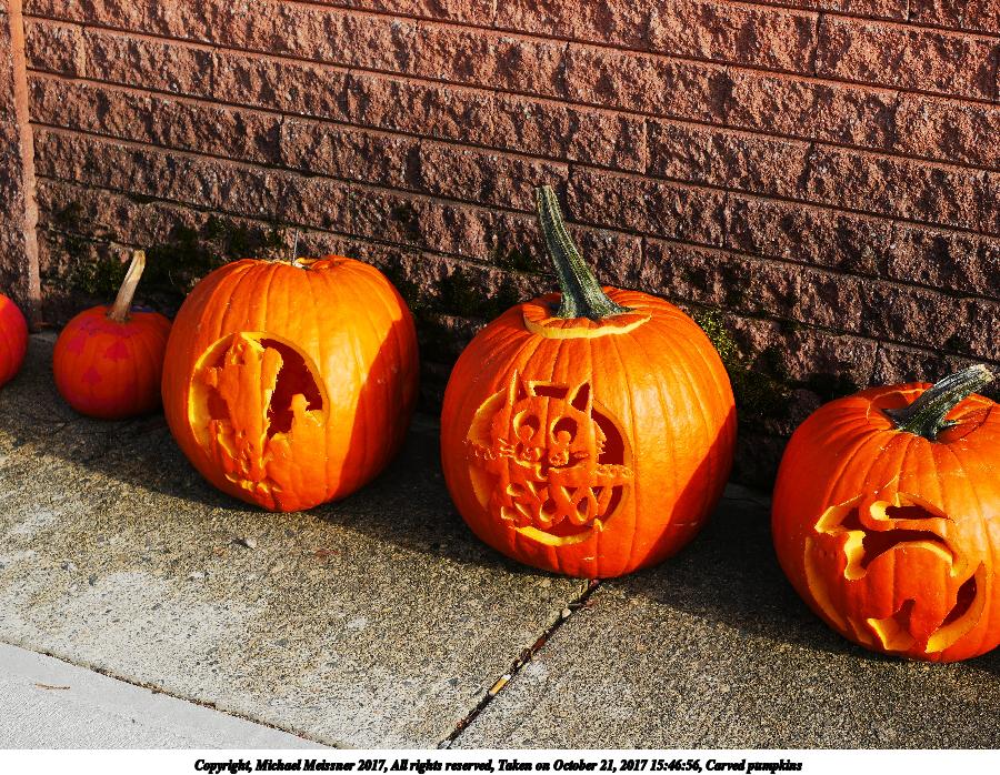 Carved pumpkins #22