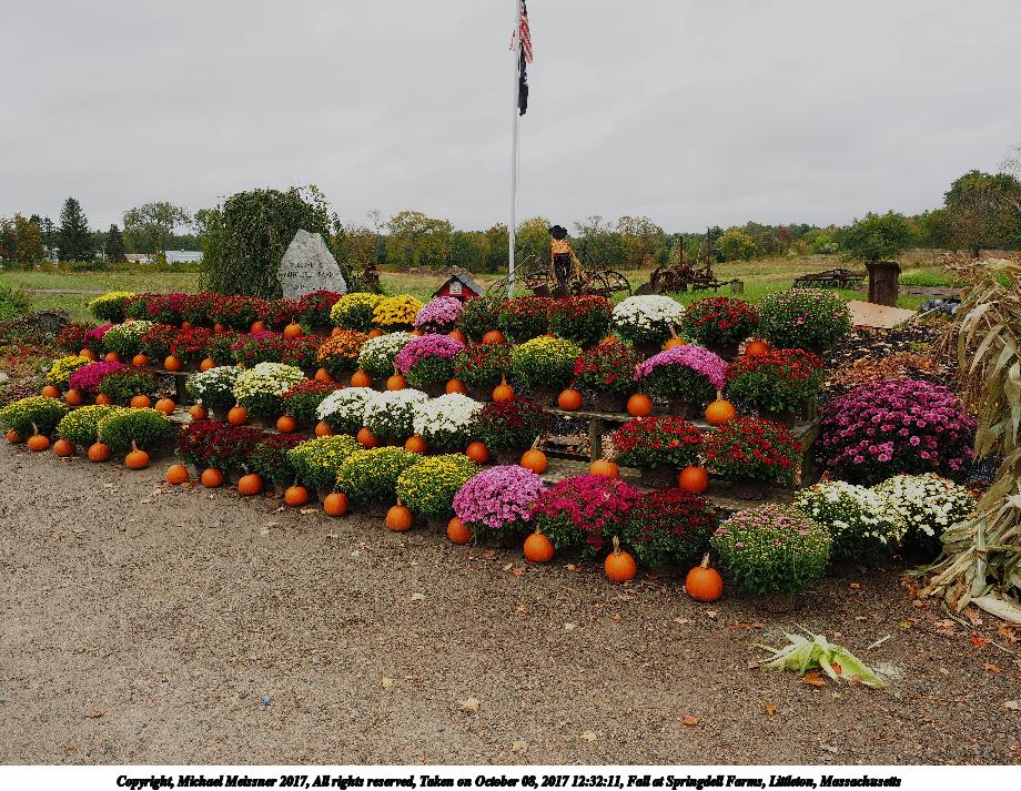Fall at Springdell Farms, Littleton, Massachusetts #2
