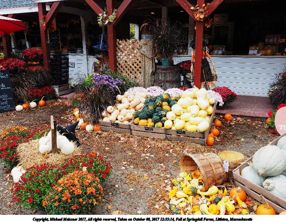 Fall at Springdell Farms, Littleton, Massachusetts #7