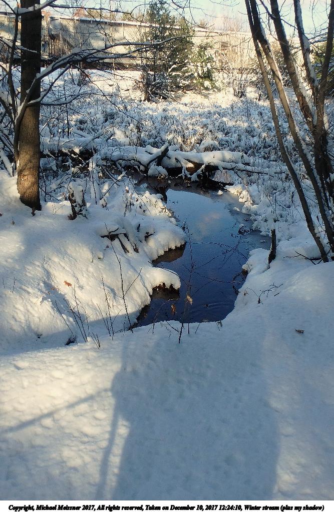 Winter stream (plus my shadow)