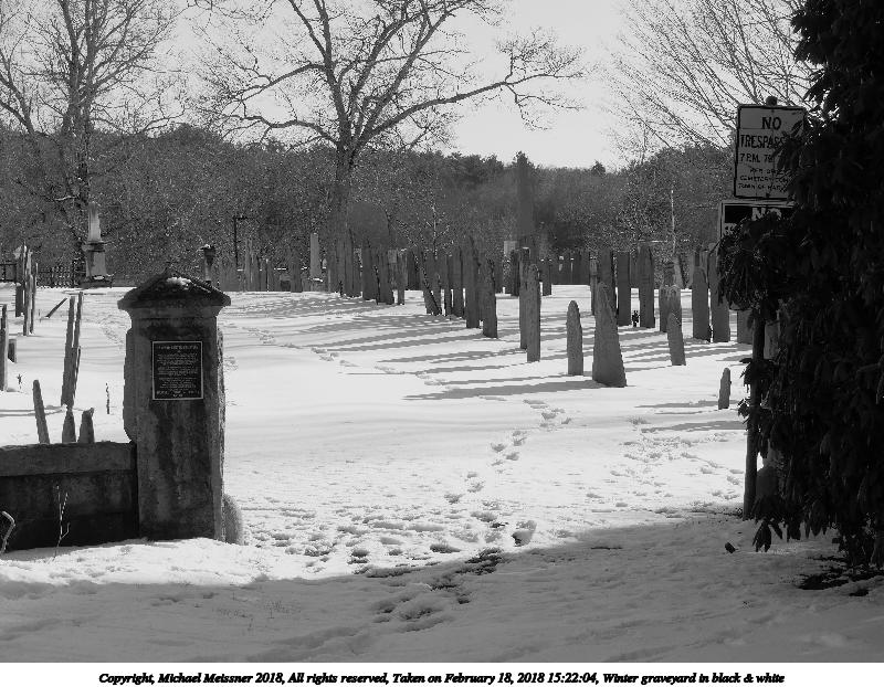Winter graveyard in black & white