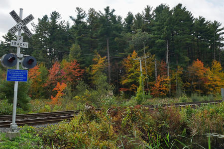 Fall at the tracks