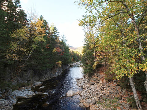 River in fall