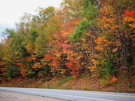 Fall on the Kancamagus Highway #15