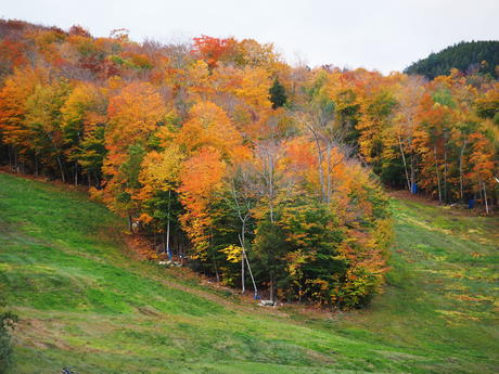 Fall colors at Loon Mountain #3