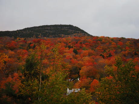Fall at Loon Mountain #2