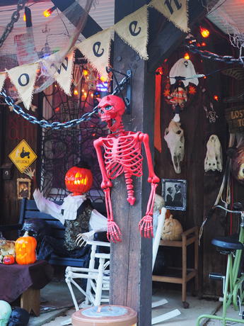 Russell Hannula's Halloween decorations #4