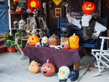 Russell Hannula's Halloween decorations #6