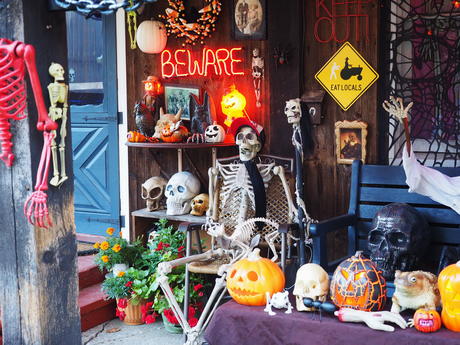 Russell Hannula's Halloween decorations #9