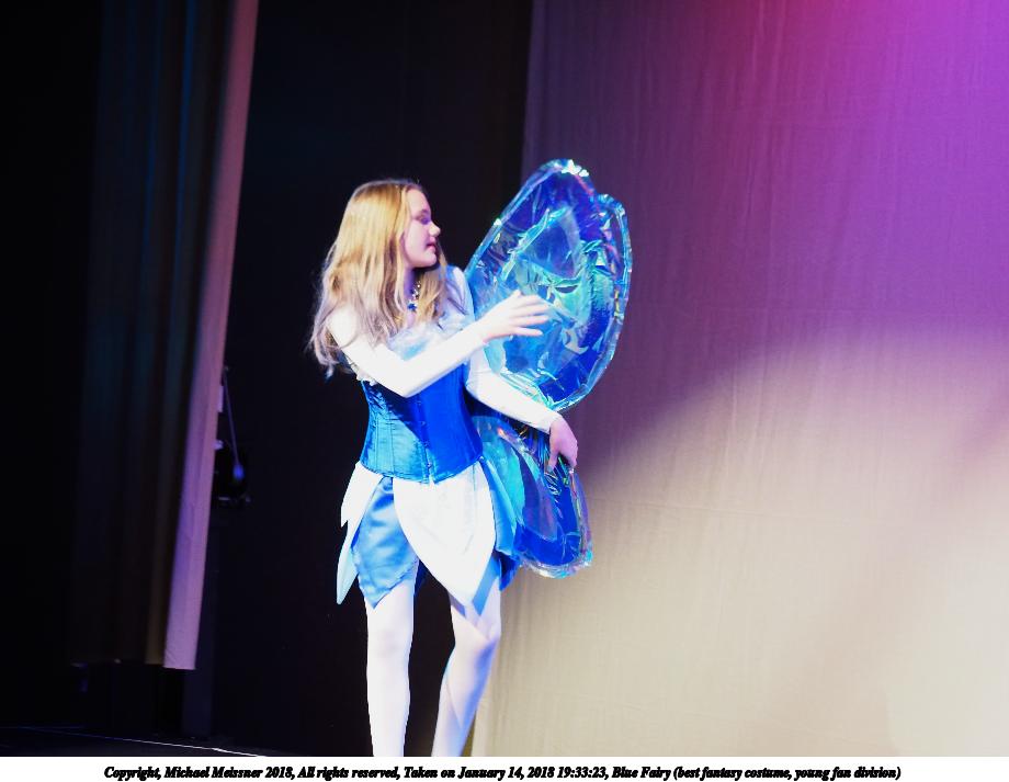 Blue Fairy (best fantasy costume, young fan division)