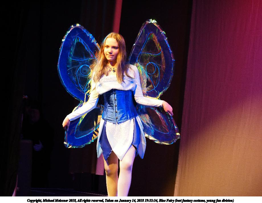 Blue Fairy (best fantasy costume, young fan division) #2