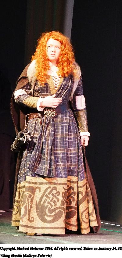Viking Merida (Kathryn Paterwic)