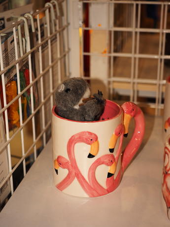 Cup of squirrel