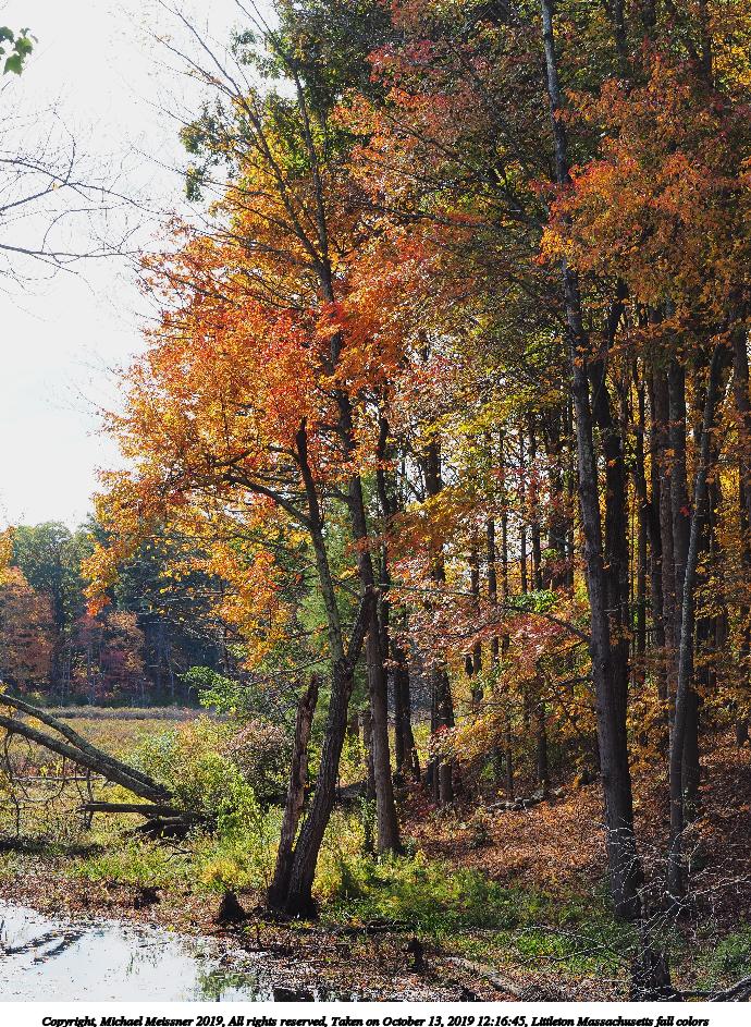 Littleton Massachusetts fall colors #4