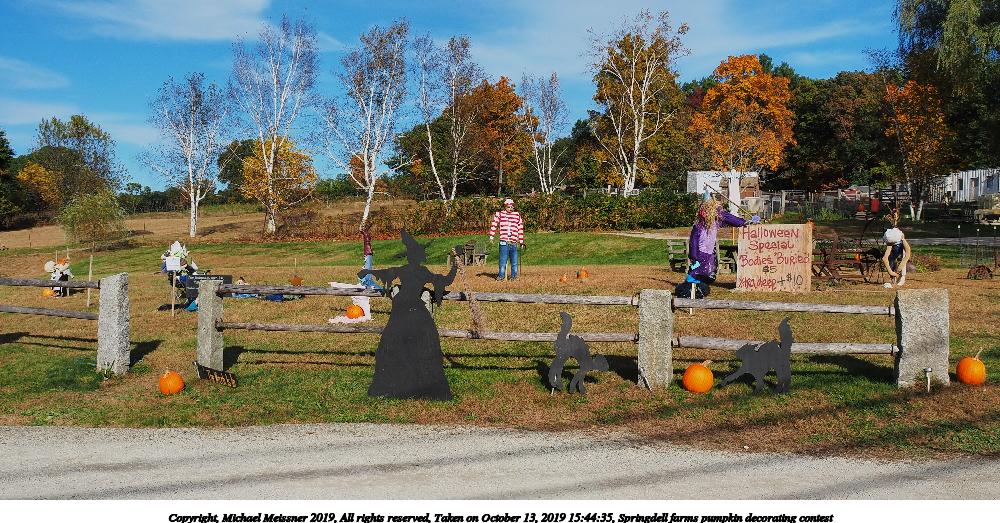 Springdell farms pumpkin decorating contest