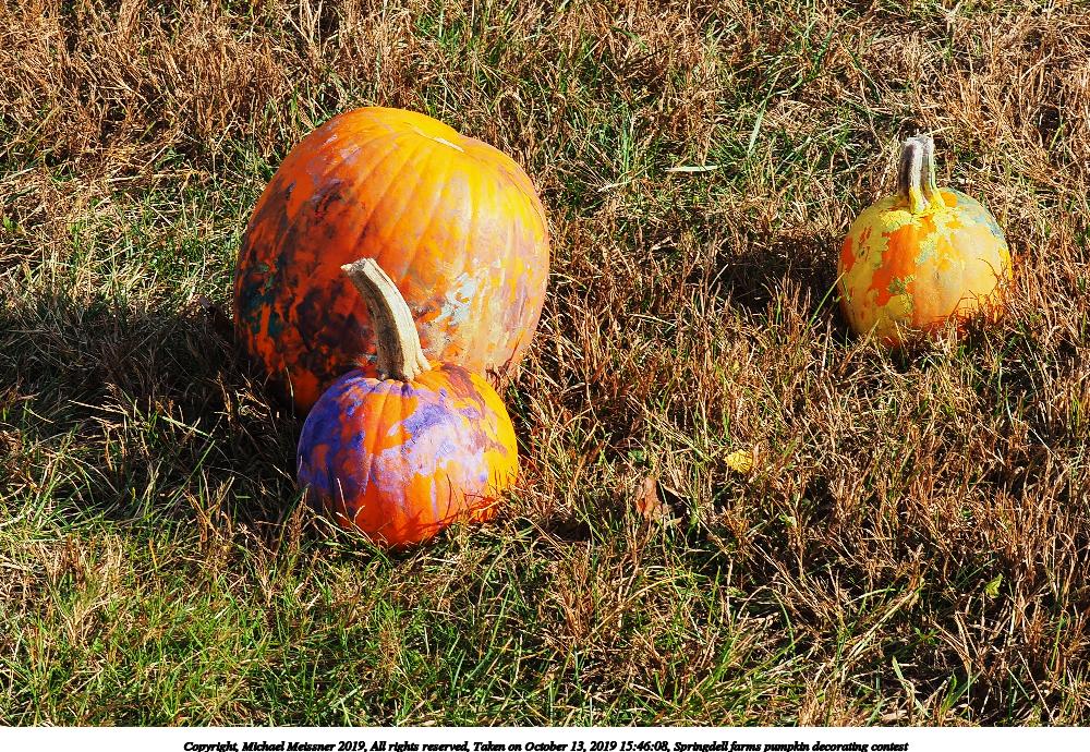 Springdell farms pumpkin decorating contest #8