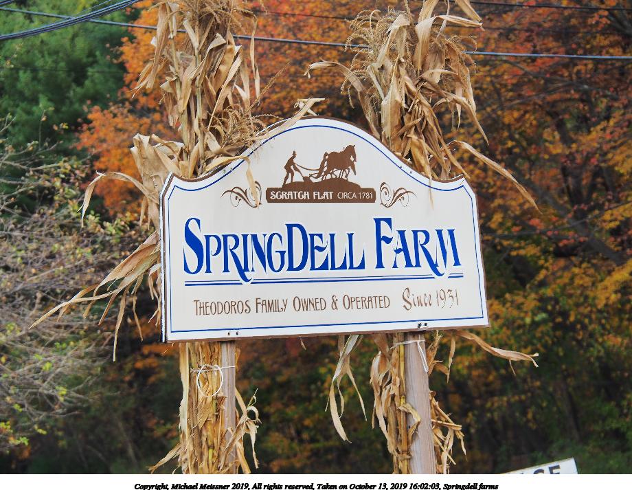 Springdell farms