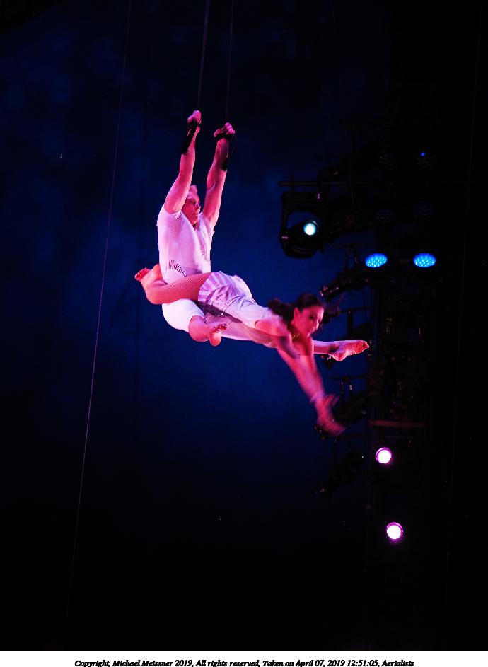 Aerialists #4