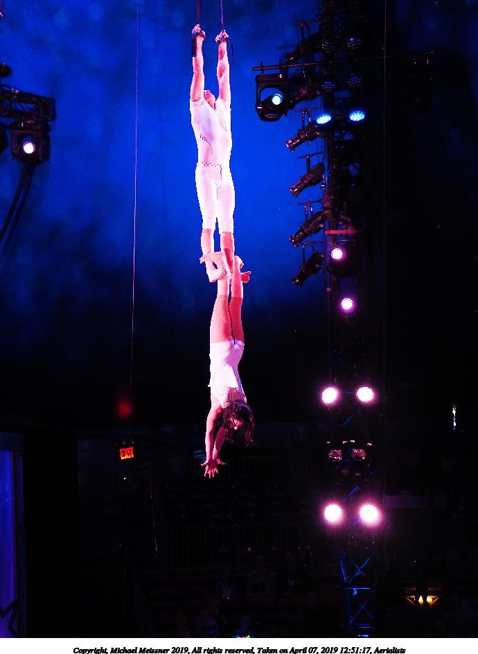 Aerialists #6