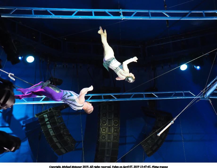 Flying trapeze #7