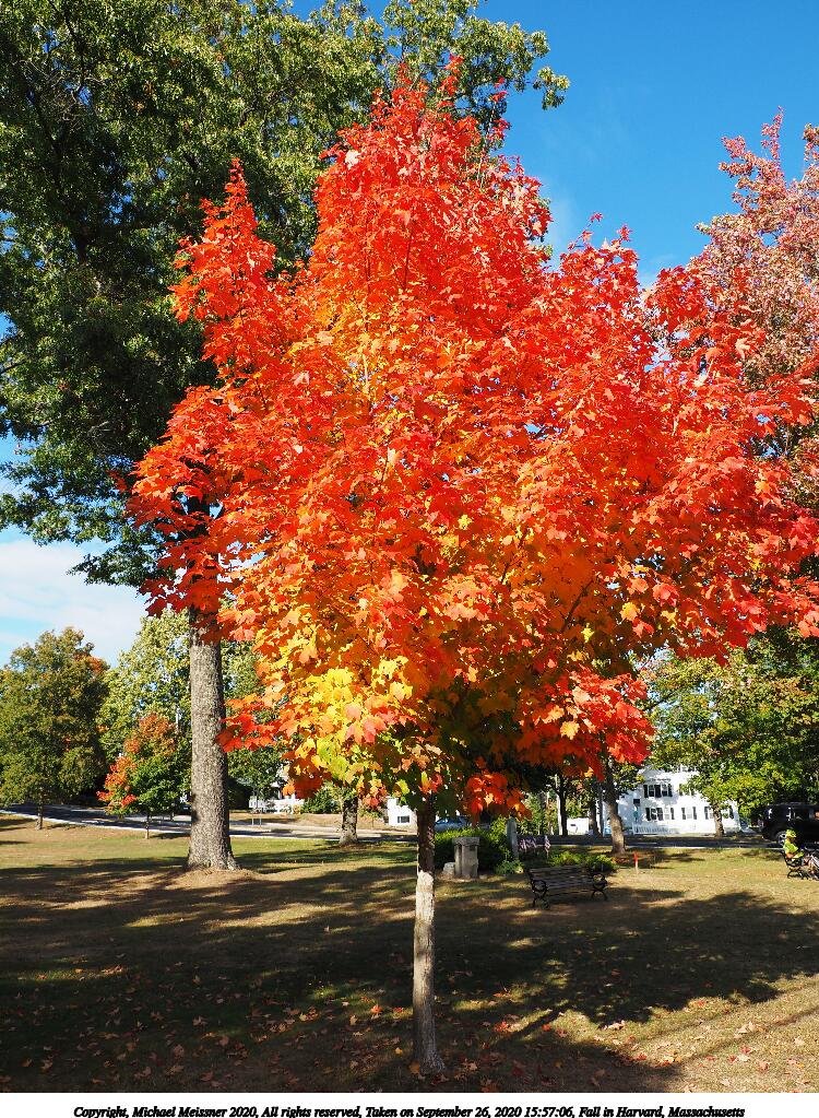 Fall in Harvard, Massachusetts