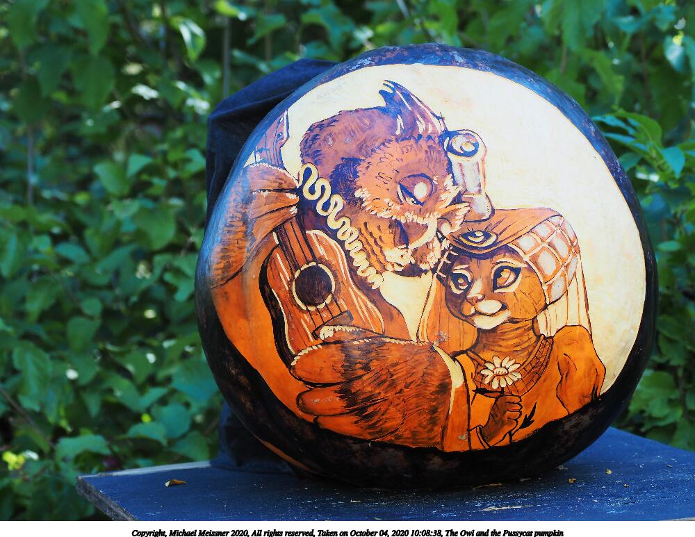 The Owl and the Pussycat pumpkin