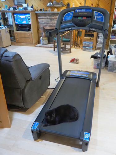 Not what the treadmill was designed for #2