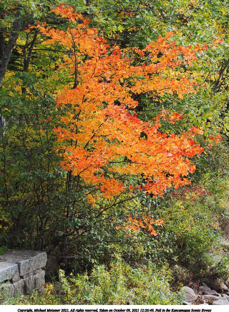 Fall in the Kancamagus Scenic Byway #5