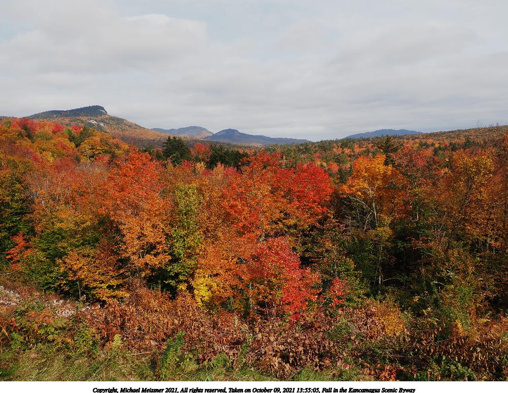 Fall in the Kancamagus Scenic Byway #23