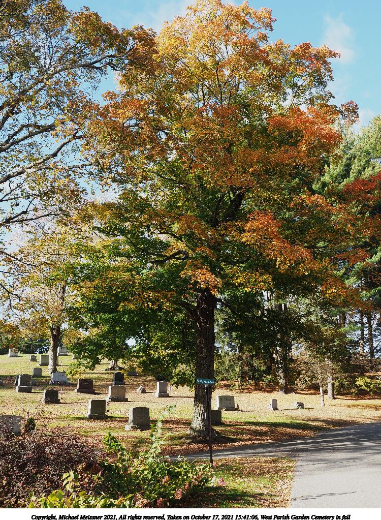 West Parish Garden Cemetery in fall #5