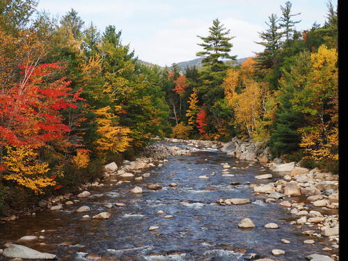 Fall in the Kancamagus Scenic Byway #3