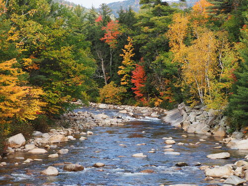 Fall in the Kancamagus Scenic Byway #4