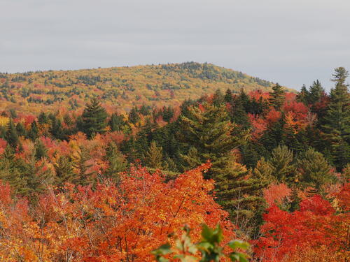 Fall in the Kancamagus Scenic Byway #13