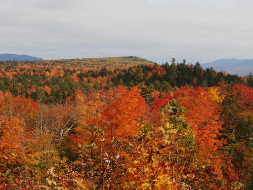 Fall in the Kancamagus Scenic Byway #14