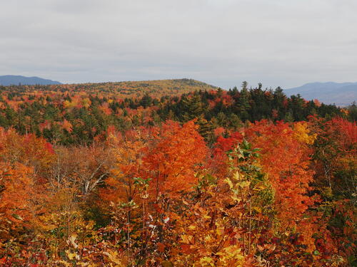 Fall in the Kancamagus Scenic Byway #15