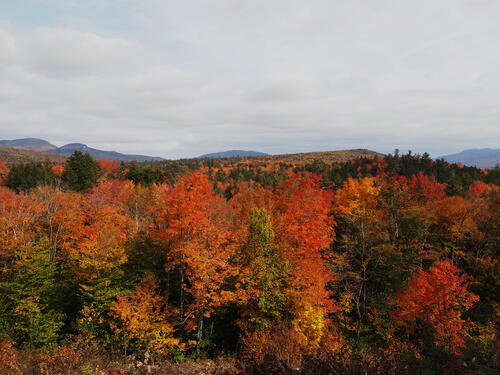 Fall in the Kancamagus Scenic Byway #16